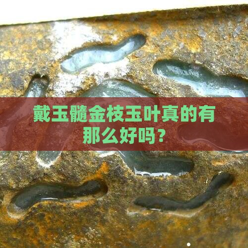 戴玉髓金枝玉叶好吗