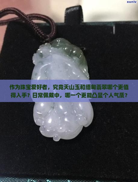 天山玉和缅甸翡翠哪个品质好