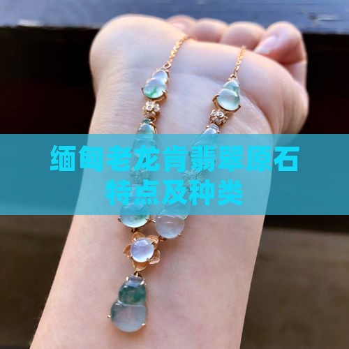 缅甸老龙肯翡翠原石