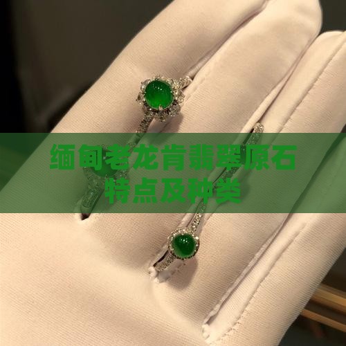 缅甸老龙肯翡翠原石