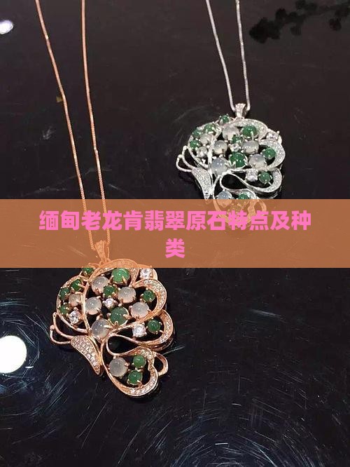 缅甸老龙肯翡翠原石