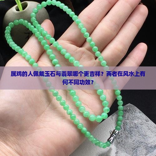 属鸡带玉好还是带翡翠好
