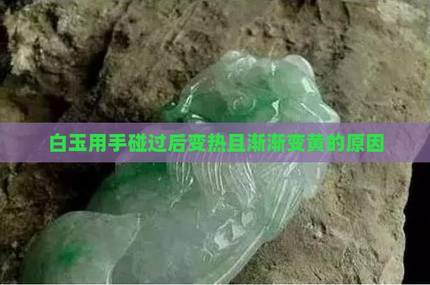 青白玉用手碰过以后变热为什么会渐渐变黄