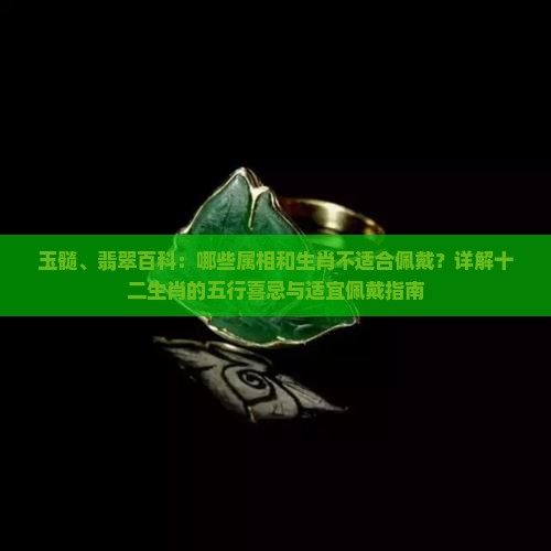 紫玉髓什么属相不能戴