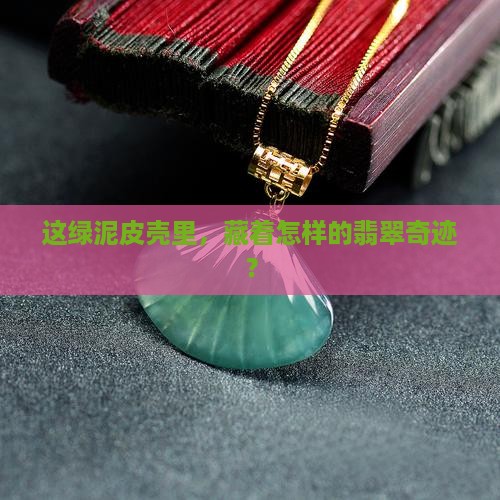 绿泥皮壳翡翠原石