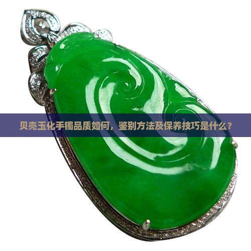 贝壳玉化手镯好吗