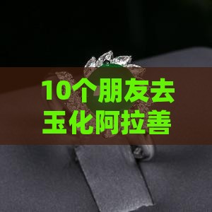 玉化阿拉善好吗
