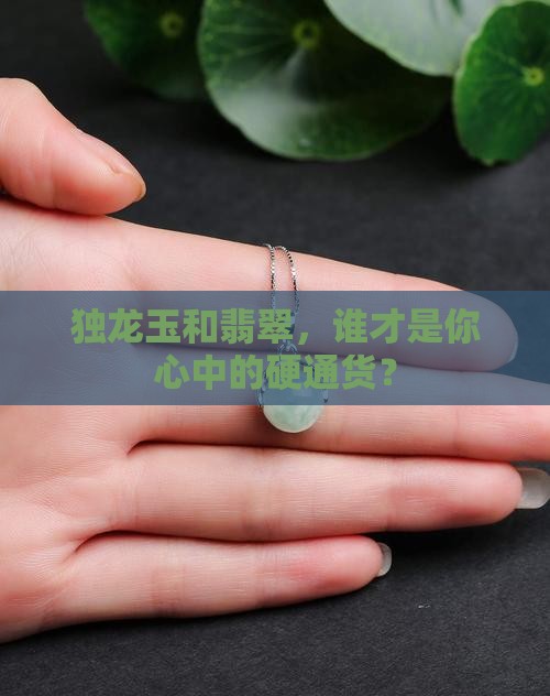 独龙玉和翡翠哪个值钱