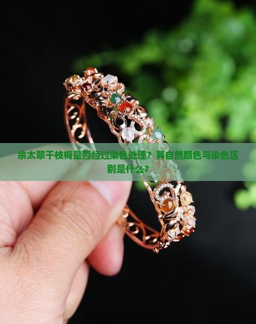 佘太翠干枝梅是染色吗