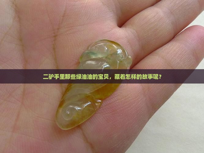 二驴的多翡翠