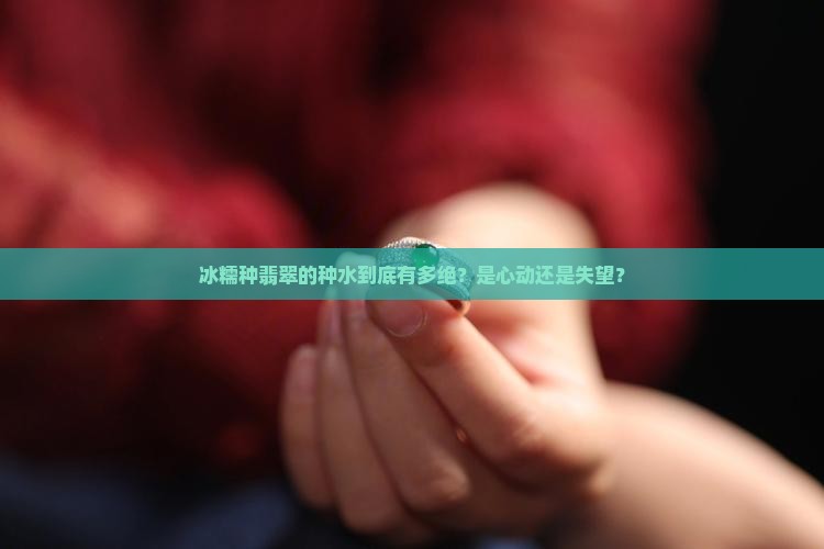 冰糯种翡翠种水