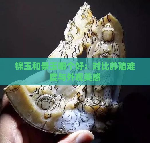 锦玉和景玉哪个好