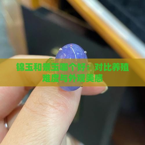 锦玉和景玉哪个好