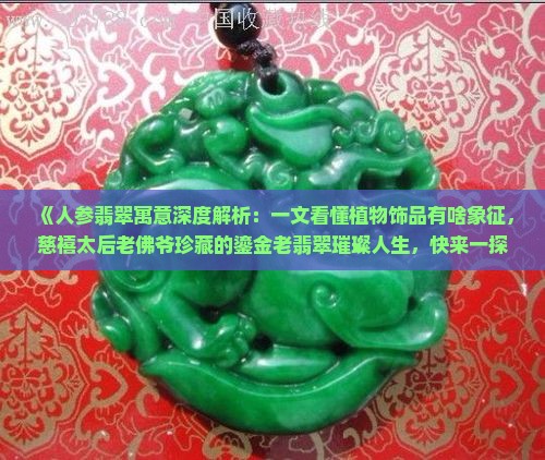 人参翡翠寓意