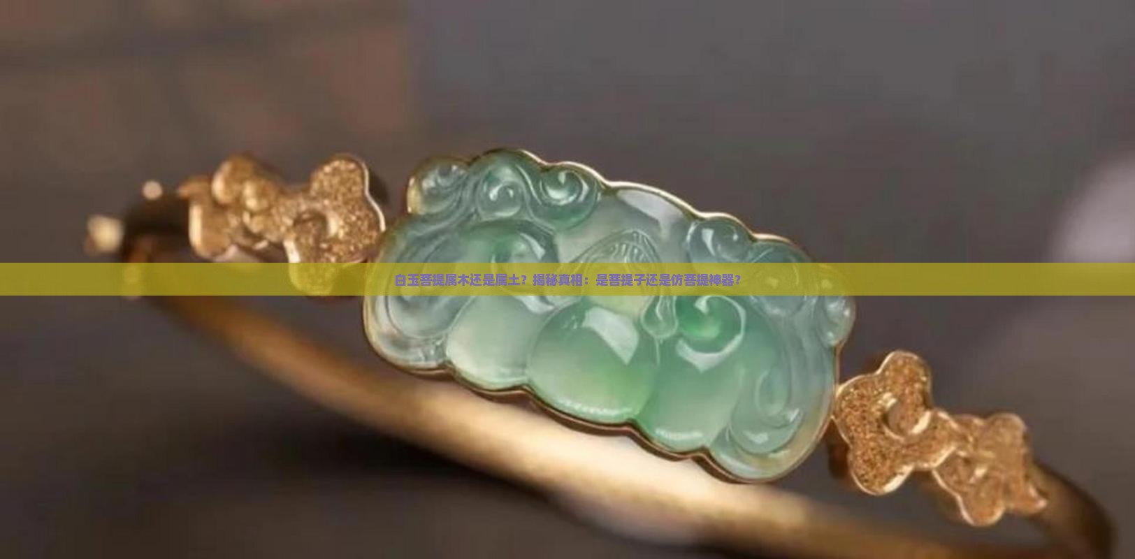 白玉菩提属木还是属土