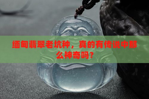 缅甸翡翠老坑种