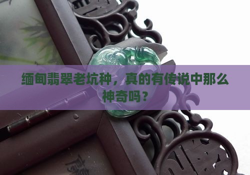 缅甸翡翠老坑种