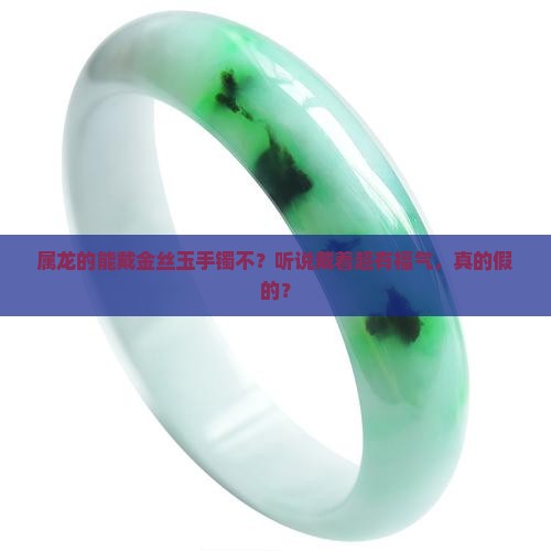 属龙可以带金丝玉手镯吗