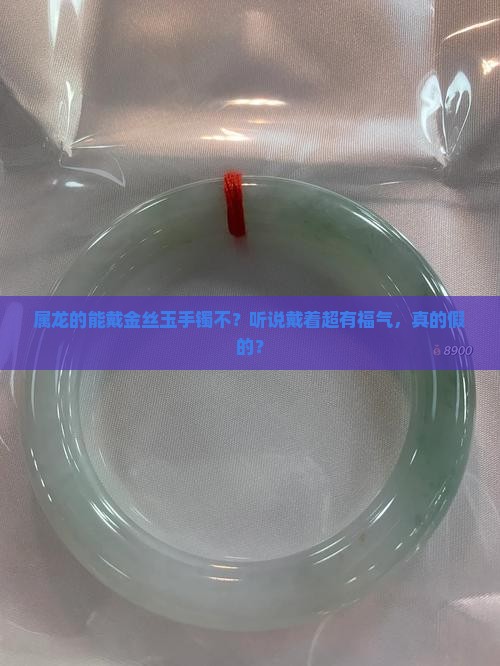 属龙可以带金丝玉手镯吗