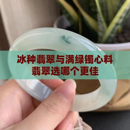 满绿镯心料翡翠和糯冰选哪个