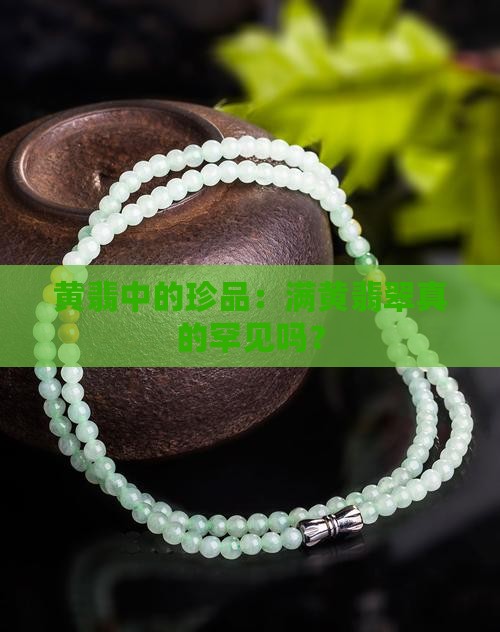 满黄翡翠很少吗