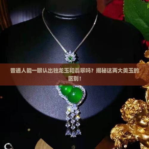 独龙玉和翡翠肉眼容易区分吗