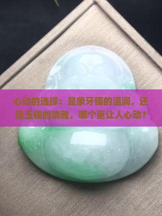 象牙镯子和玉镯哪个贵
