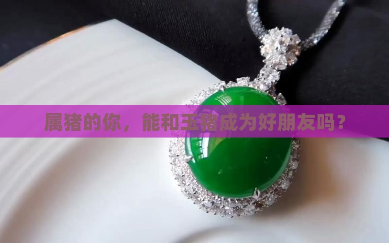 属猪的人可以佩戴玉猪吗