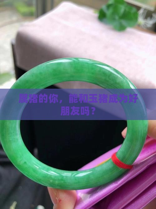 属猪的人可以佩戴玉猪吗