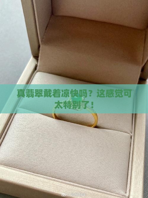 真翡翠戴是的凉
