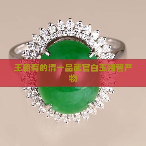 收到清一品武官白玉翎管
