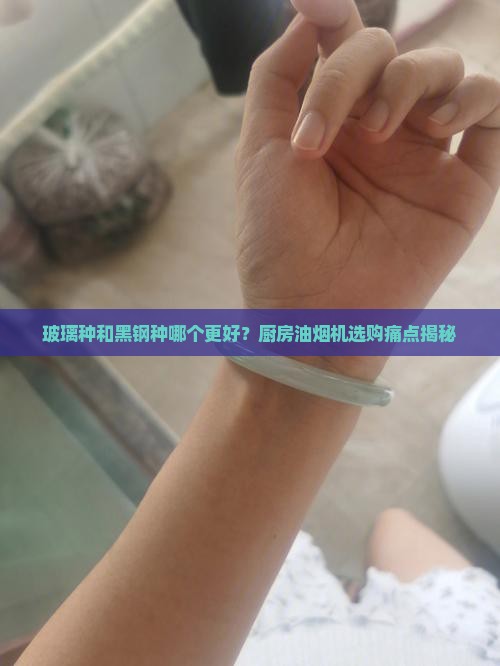 玻璃种和黑钢种哪个好