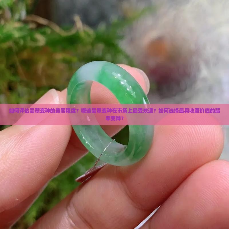 什么样的翡翠变种最好看