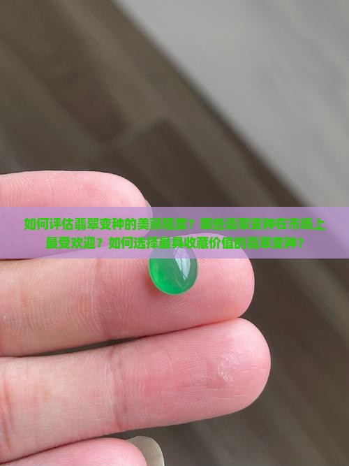 什么样的翡翠变种最好看