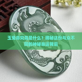 什么是玉兔命