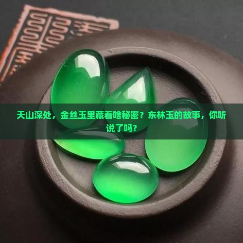 金丝玉天山翠东林玉