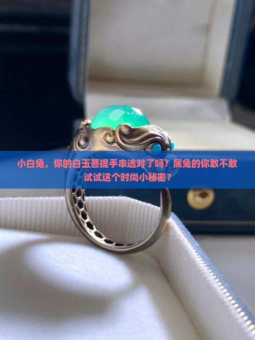 属兔可以戴白玉菩提么
