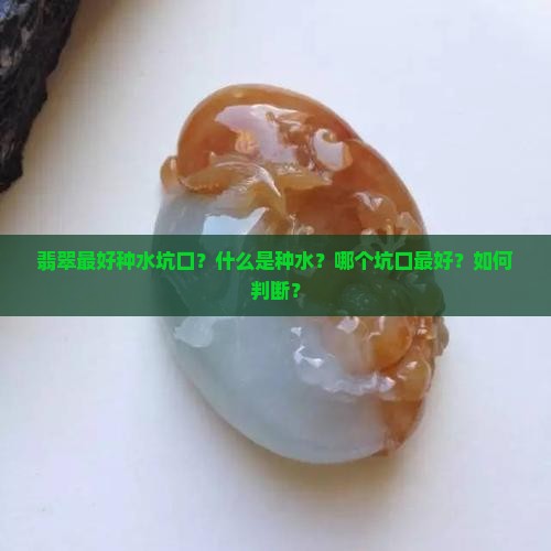翡翠最好种水坑口