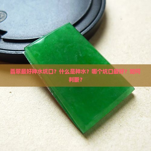 翡翠最好种水坑口