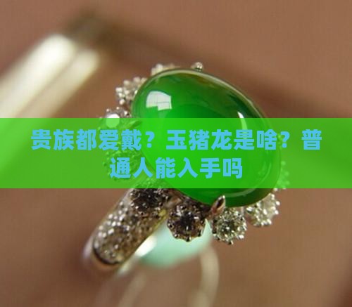 玉猪龙是贵族佩戴的吗