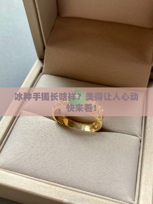 冰种手镯长什么样