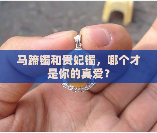 马蹄镯和贵妃镯有什么不同