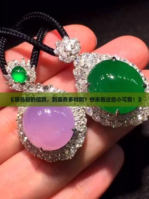 翡翠信鸽特点