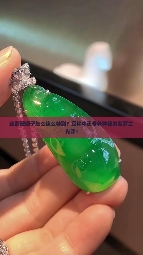 翡翠镯子一般是豆种一般是发紫的冰