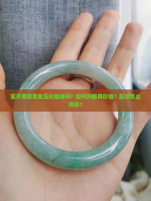 星月菩提黑金玉化值钱吗