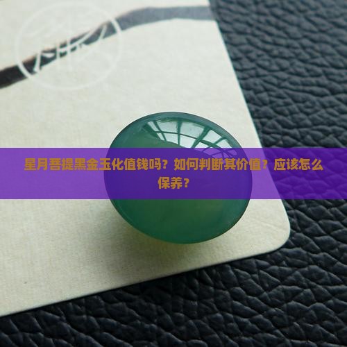 星月菩提黑金玉化值钱吗