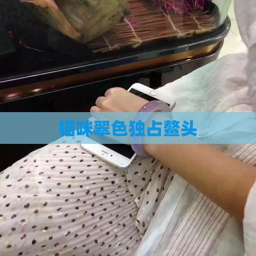 猫翠名列前茅