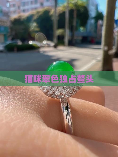 猫翠名列前茅