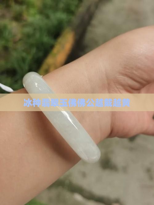 冰种佛公越代越黄