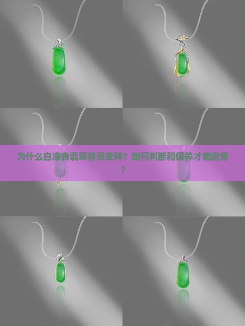 白底青为什么容易变种